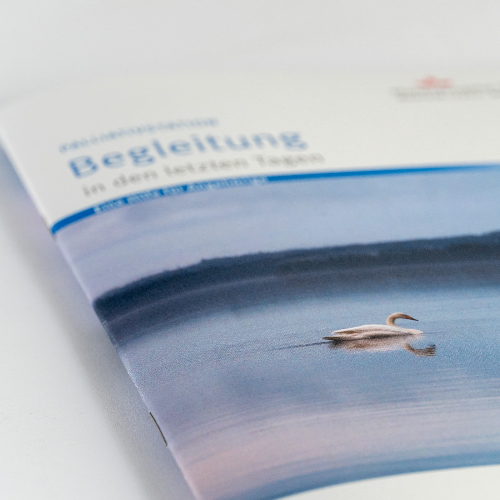 mhs_Palliativ_Case_2